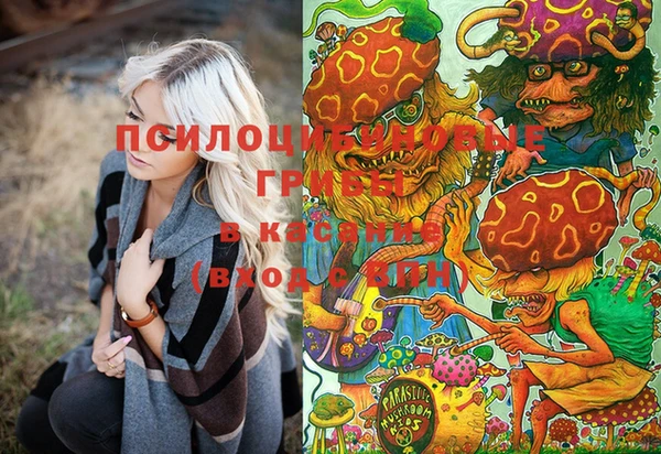 крисы Куйбышев