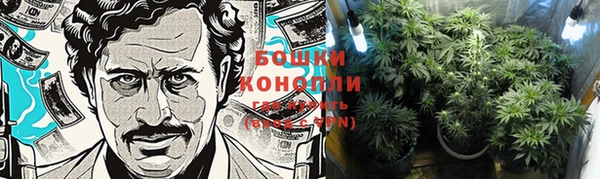 PSILOCYBIN Кукмор