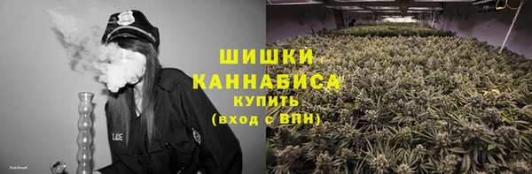 Альфа ПВП Кулебаки